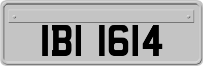 IBI1614