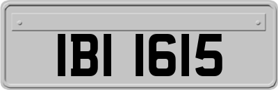 IBI1615