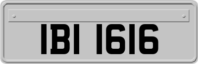 IBI1616