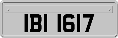 IBI1617