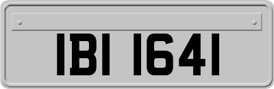 IBI1641