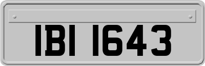 IBI1643