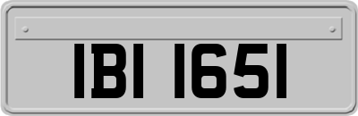 IBI1651