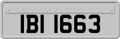IBI1663