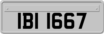 IBI1667