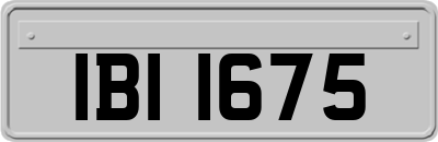 IBI1675