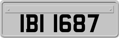 IBI1687