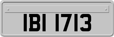 IBI1713