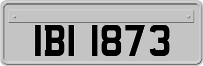 IBI1873