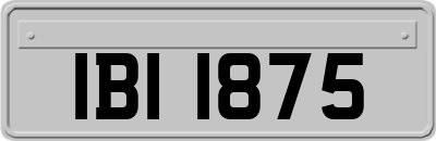 IBI1875