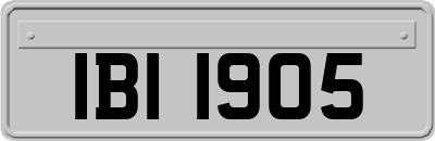 IBI1905
