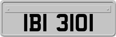 IBI3101