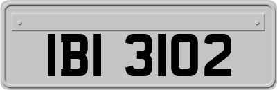 IBI3102