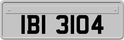 IBI3104