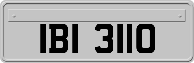 IBI3110