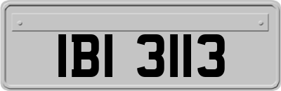 IBI3113