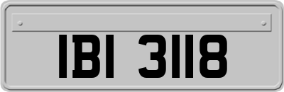 IBI3118