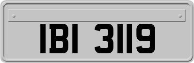 IBI3119