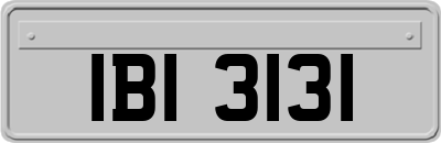 IBI3131