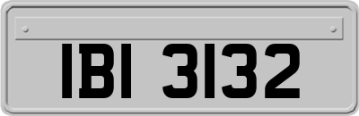 IBI3132