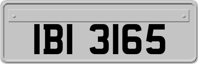 IBI3165