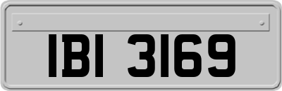 IBI3169