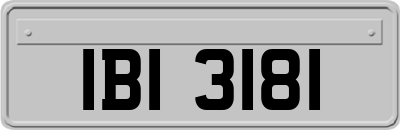 IBI3181