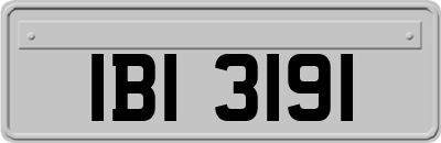 IBI3191