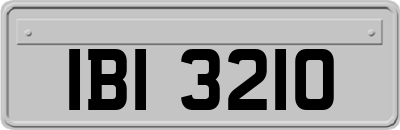 IBI3210