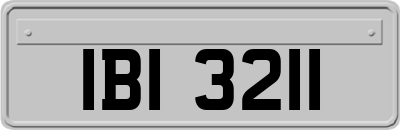 IBI3211