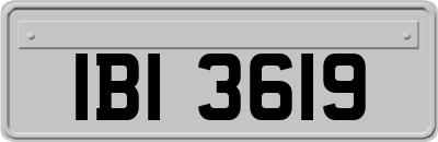 IBI3619