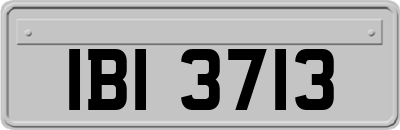 IBI3713