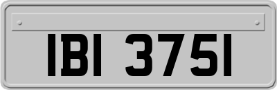 IBI3751