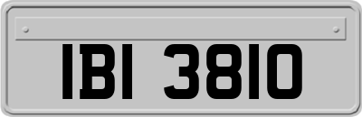 IBI3810