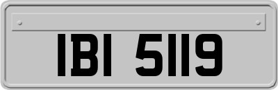 IBI5119