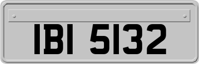 IBI5132