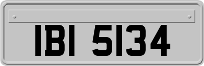 IBI5134