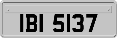 IBI5137