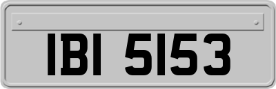 IBI5153