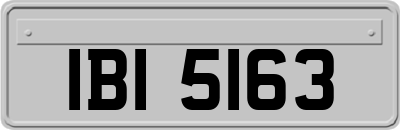 IBI5163