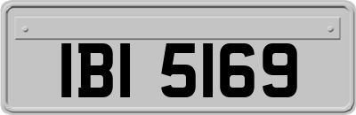 IBI5169