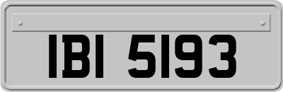 IBI5193