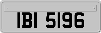 IBI5196