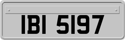 IBI5197