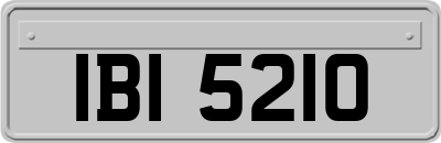 IBI5210