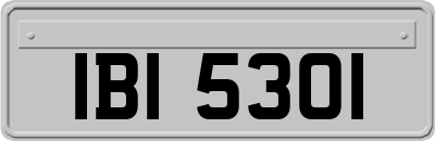 IBI5301