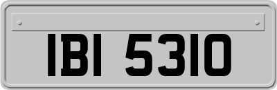 IBI5310