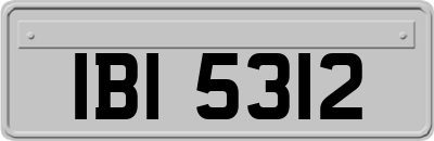 IBI5312