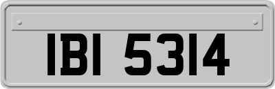 IBI5314