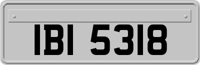 IBI5318